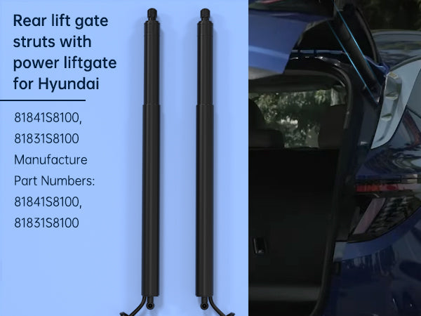 Supporto per ascensore per portelloni elettrici Hyundai Palisade 2PCS 2020-2022 81831-S8100