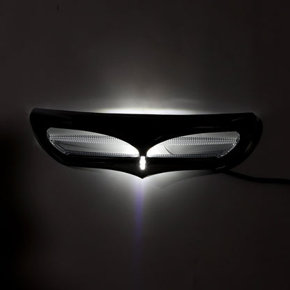 Carenatura con illuminazione a LED per Electra Street Glide FLHTCU 2014-2022