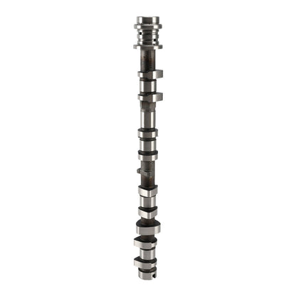 11/2014-02/2020 Ford 1.5 Ecoboost Focus III Berlina M8DA; M8DB 1498 Berlina Albero a camme di scarico DS7G-6A268-AA