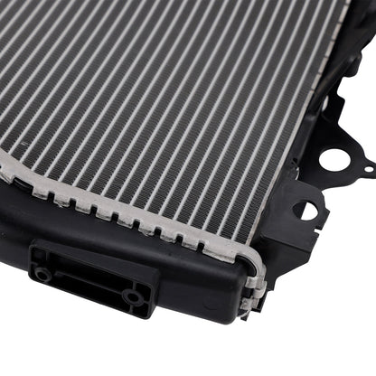 Radiatore di raffreddamento del motore in alluminio BMW S1000R 2015-2018