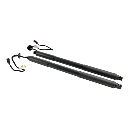 10.2013-12.2015 XC60 I SUV (156) D4 2 PZ Supporto per sollevamento portelloni elettrici 31386705 31386706