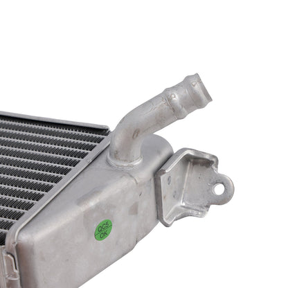 Raffreddamento del radiatore per BMW S1000R 2021-2025
