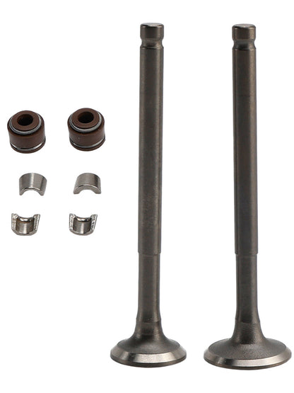 Kit valvole di aspirazione e scarico da 69 mm per ciclomotore GY6 139QMB 50cc 80cc Sunl Baja Taotao