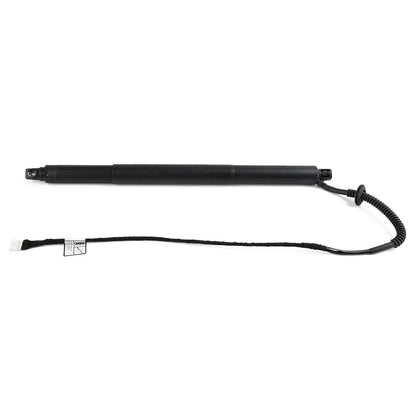 Supporto di sollevamento elettrico del portellone posteriore destro BMW X6 F16 SUV xDrive 30d 2014-2019 2993ccm 258HP 190KW (Diesel) 51247318652