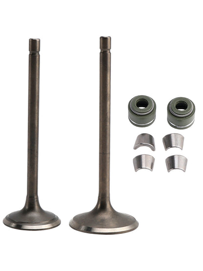 Kit valvole di aspirazione e scarico per LIFAN ZONGSHEN CG250 250cc Go Kart Dirt Bike ATV