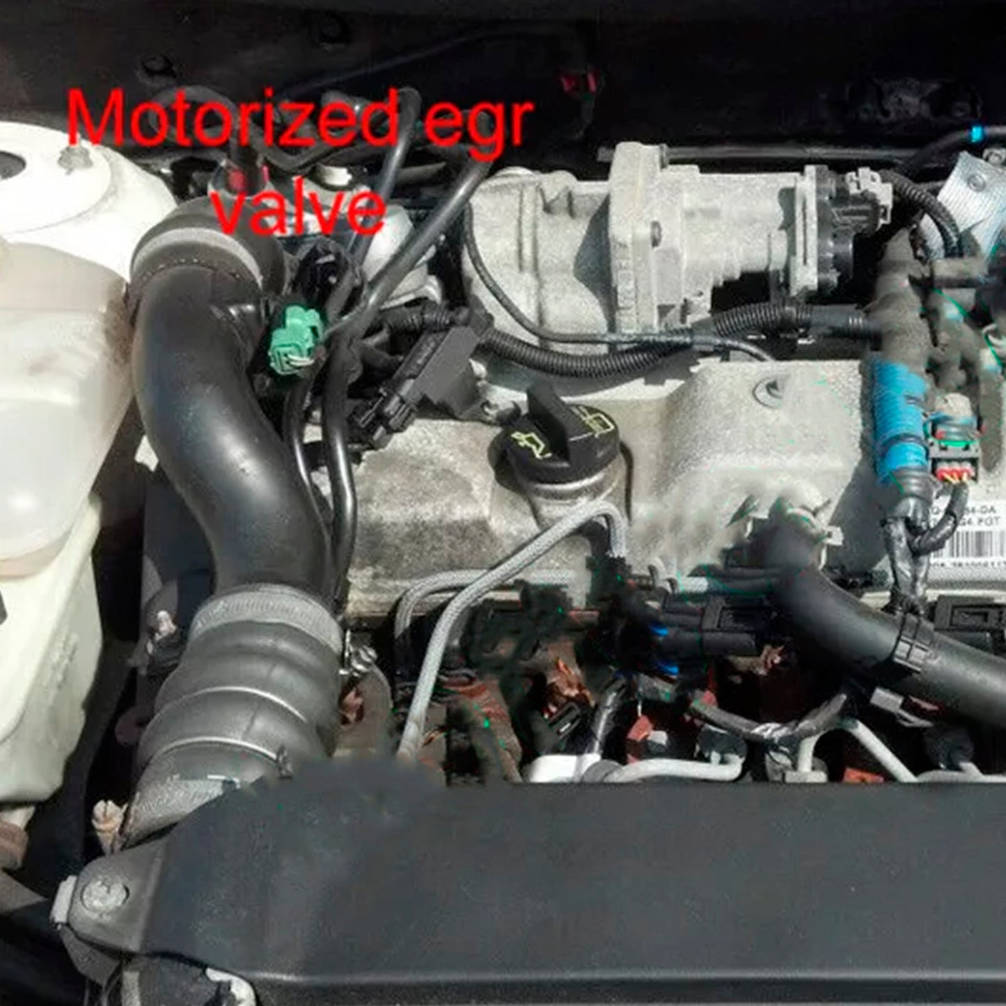 Piastra di riparazione valvola EGR per Ford 1.8 TDCi Connect Focus Mondeo C-max solo Euro4