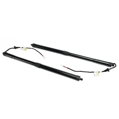 Lexus RX 450h BASE 2018-2019 (il VIN inizia con JTJB) 2 pezzi di montanti di supporto del portellone posteriore 6892048031 6891048071