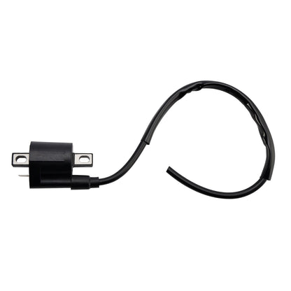 Scatola CDI con accensione adatta per Suzuki LT-F160 QuadRunner 1990-2007 DRZ400 2000-2004