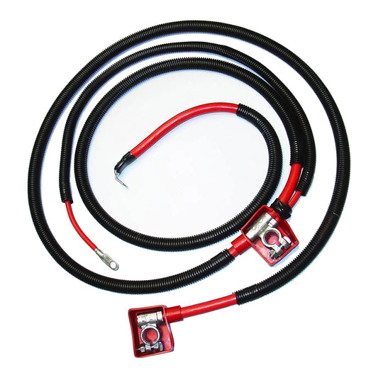 Cavo batteria standard Ford Powerstroke Diesel 7.3L A123-00HP E9TZ14300F F0UZ14300B