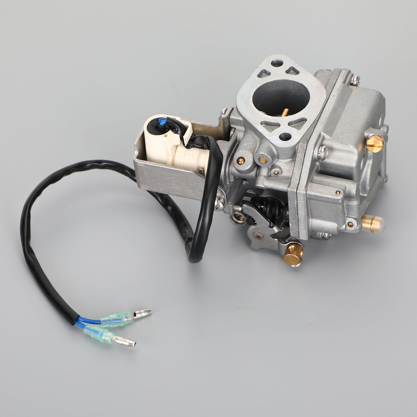 Carburatore per Yamaha Outboard 4-stroke F20 07-18 6AH-14301-00 6AH-14301-01