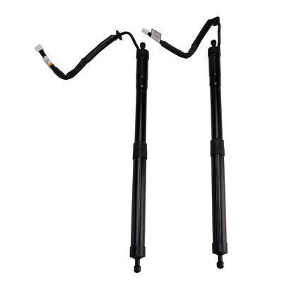 Supporto di sollevamento per portellone elettrico posteriore LEXUS RX RX350L RX450HL 2 pezzi 2018-2022 6892048061 6892048060