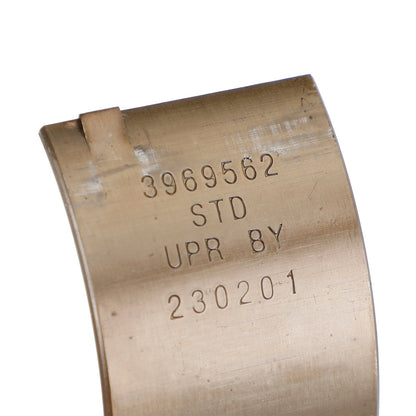 Cuscinetto principale della biella 3969562 3802070 per Dodge 5.9 12/24V Cummins Standard STD 1989-2002