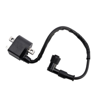 Scatola CDI Accensione adatta per Suzuki TS50 TS50X 1991/1993-1995 LT50 1990/1999-2005