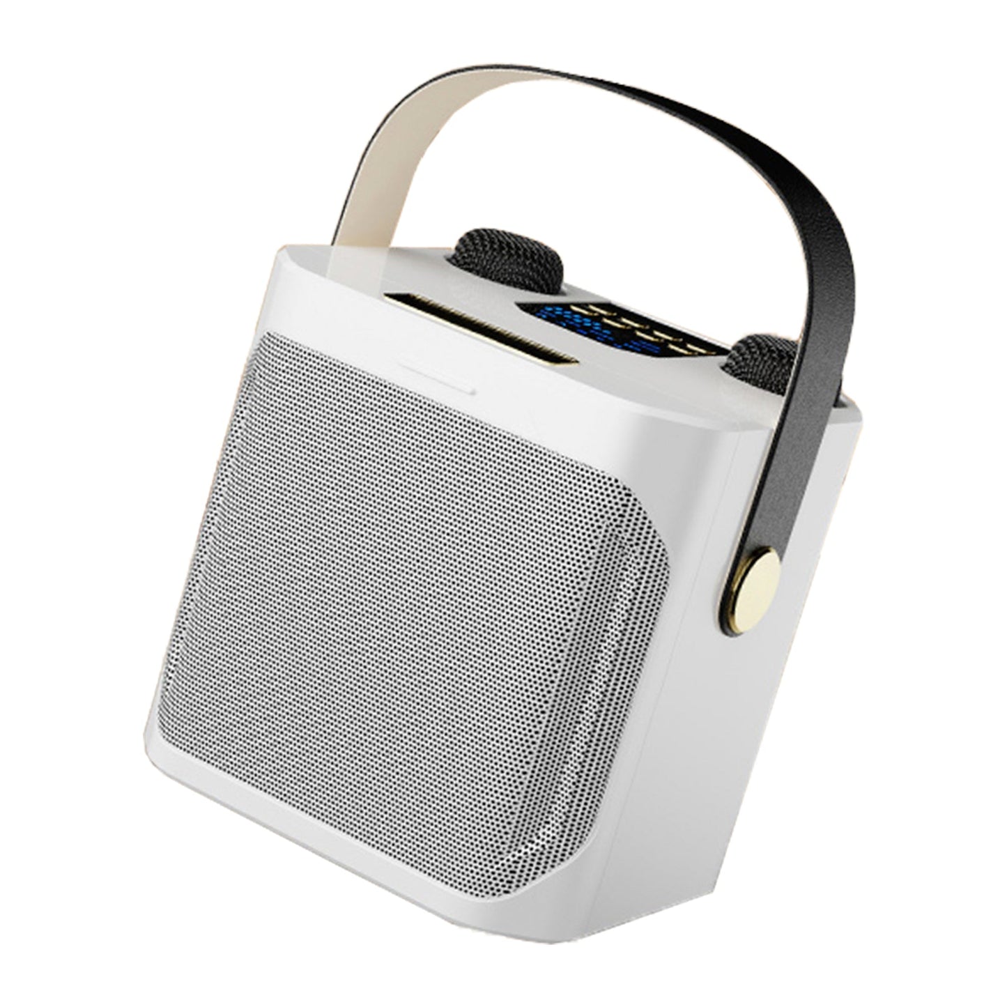 Altoparlante Bluetooth wireless con doppio microfono, altoparlante portatile per karaoke domestico