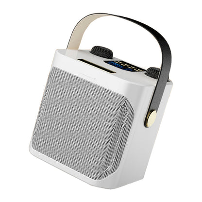 Altoparlante Bluetooth wireless con doppio microfono, altoparlante portatile per karaoke domestico