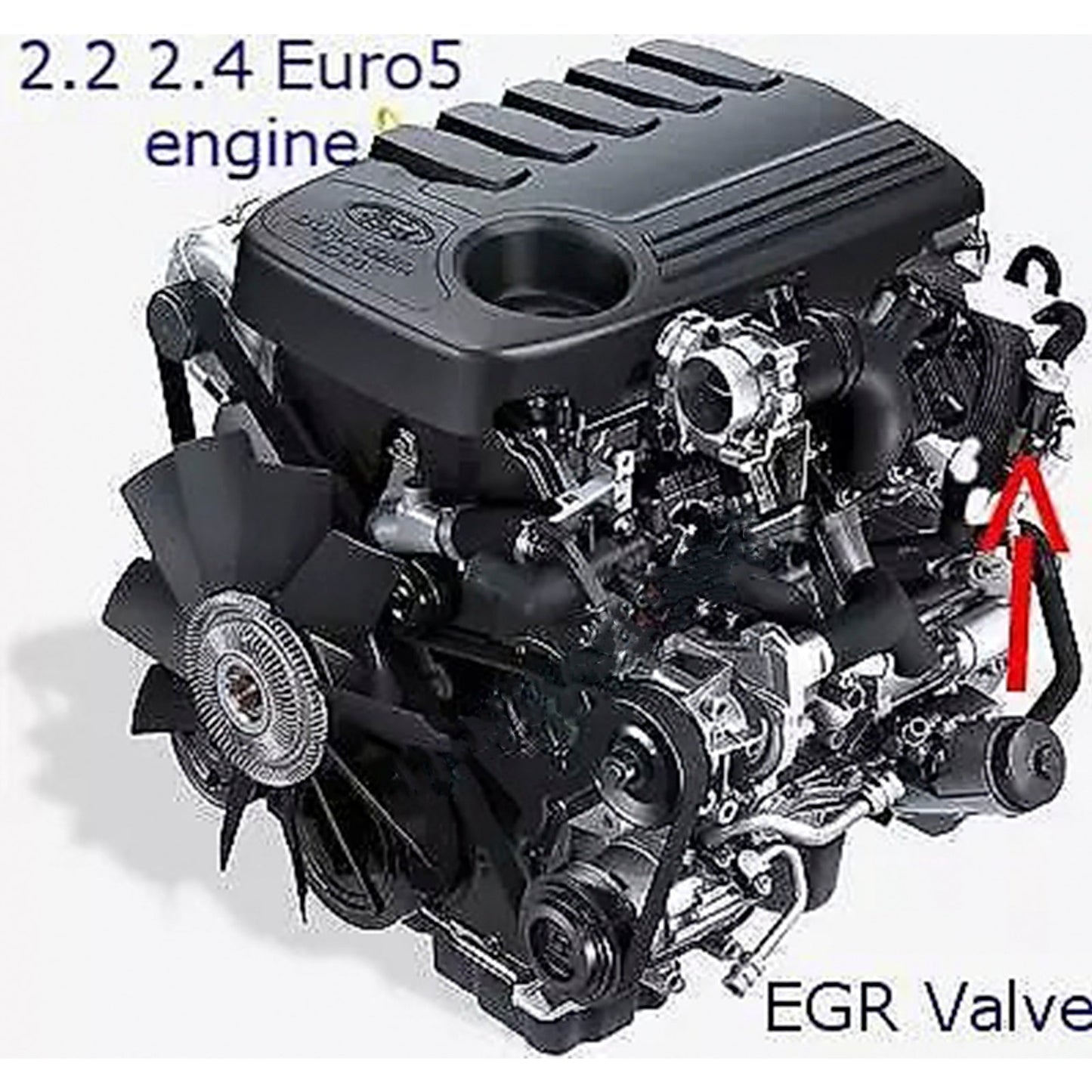 Piastra di blocco valvola EGR per Ford Transit Custom Euro5 e 6 2.2L 2.4 TDCi dal 2011 in poi