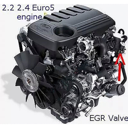 Piastra di blocco valvola EGR per Ford Transit Custom Euro5 e 6 2.2L 2.4 TDCi dal 2011 in poi