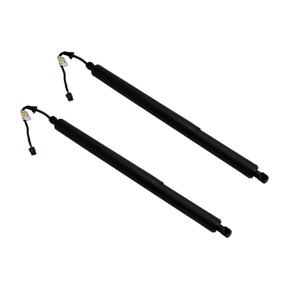 Supporto di sollevamento elettrico per portellone posteriore Hyundai Santa Fe 2019-2020 2 pezzi 81831S1100