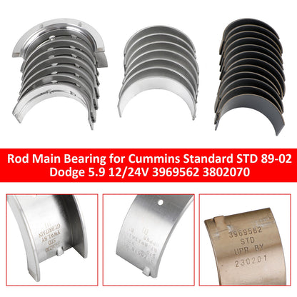 Cuscinetto principale della biella 3969562 3802070 per Dodge 5.9 12/24V Cummins Standard STD 1989-2002
