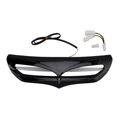 Carenatura con illuminazione a LED per Electra Street Glide FLHTCU 2014-2022