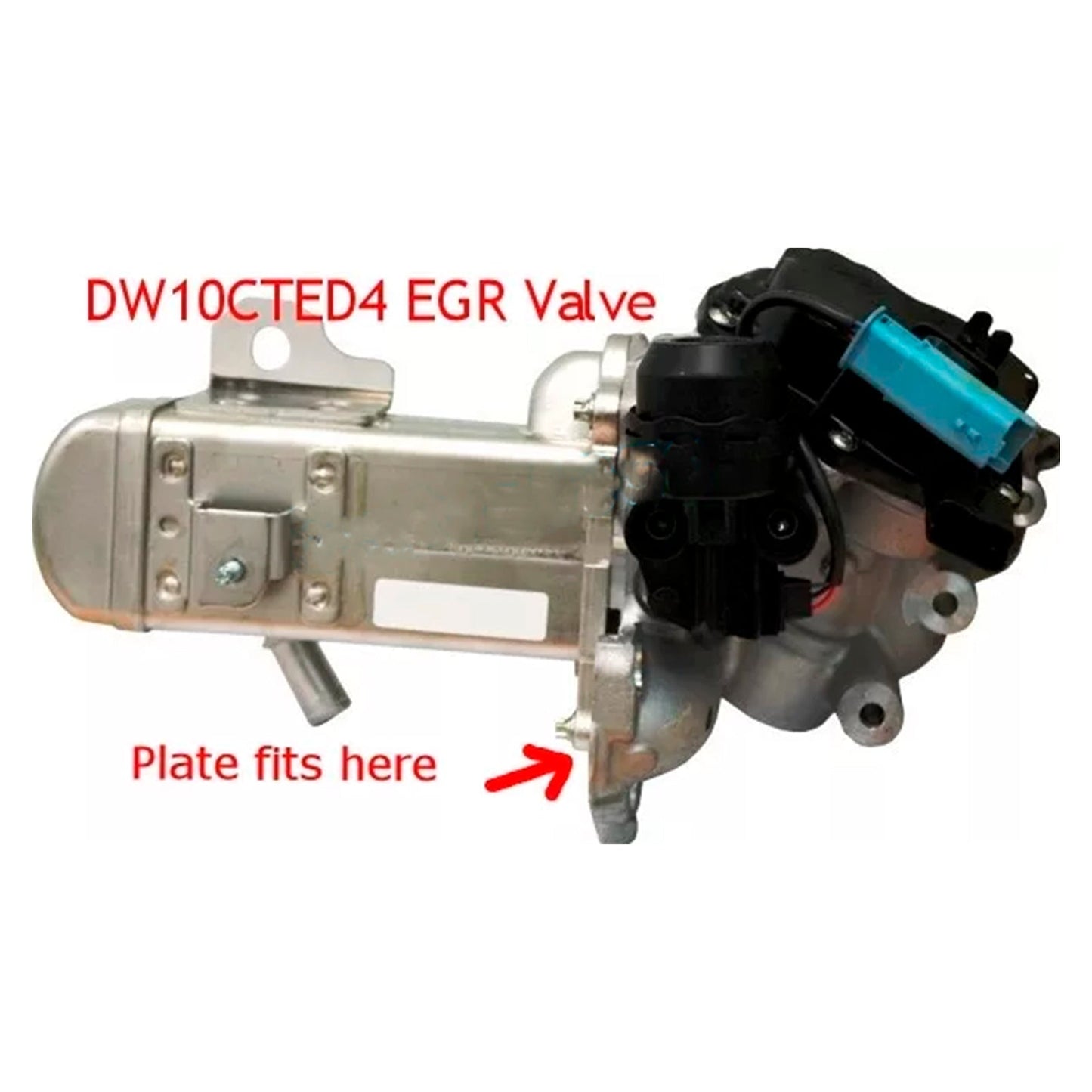 Piastra cieca valvola EGR per Ford Mondeo Kuga Focus 2.0L TDCi Euro5 DW10CTED4