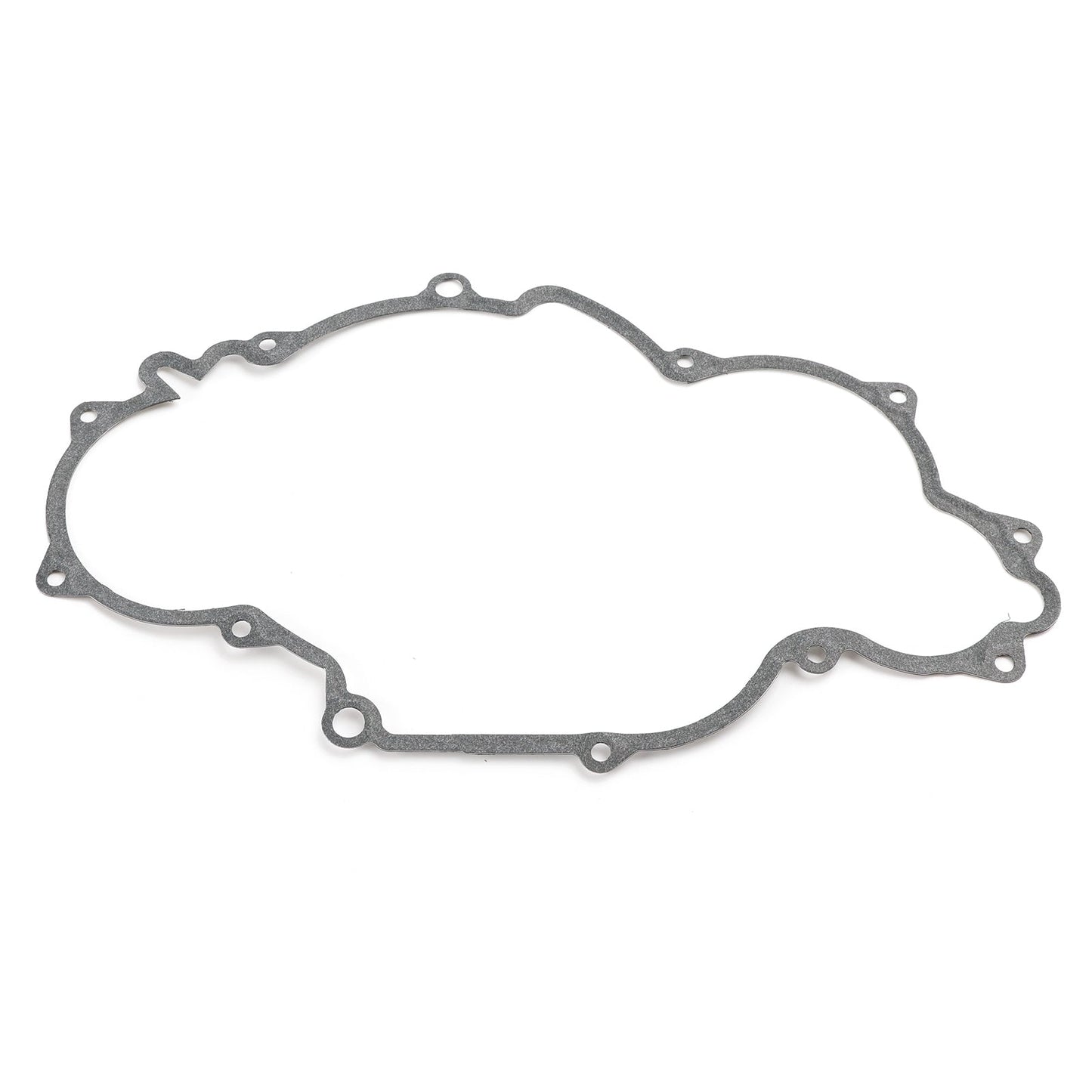 2010 RC8 1190 Bobina magnetica Statore + Regolatore di tensione + Guarnizione 61239004000