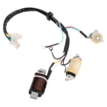 Bobina di ricarica e bobina di illuminazione Town Mate Yamaha T80D 1987/1992/1993 2MK-85560-M0 2ML-85560-M0