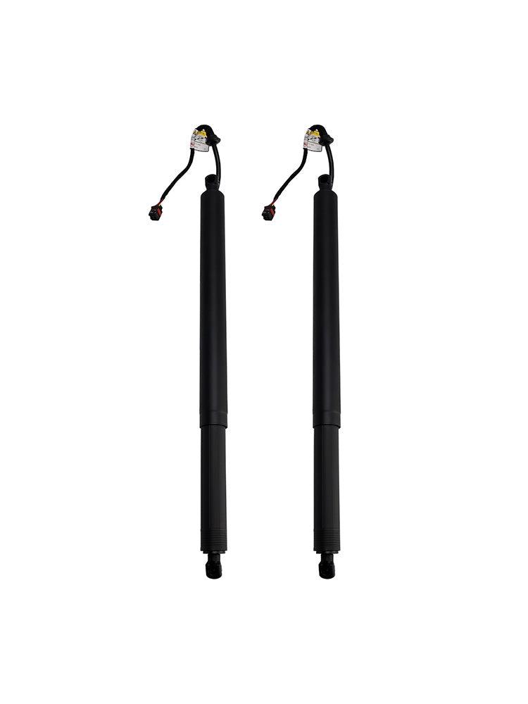 Supporto di sollevamento elettrico per portellone posteriore Hyundai Santa Fe 2019-2020 2 pezzi 81831S1100