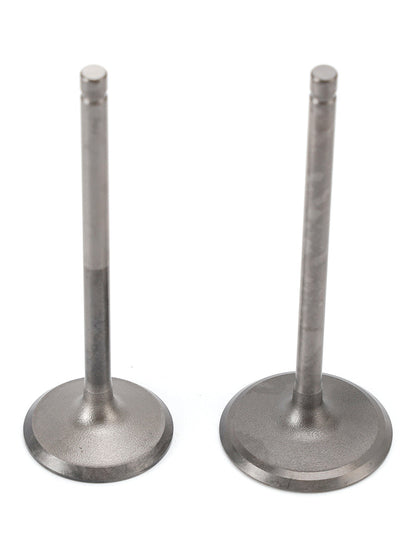 Valvola di aspirazione e scarico per Yamaha 200 225 250 CV 11-19 6P2-12111-10 6P2-12121-10