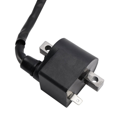 Scatola CDI Accensione adatta per Suzuki TS50 TS50X 1991/1993-1995 LT50 1990/1999-2005