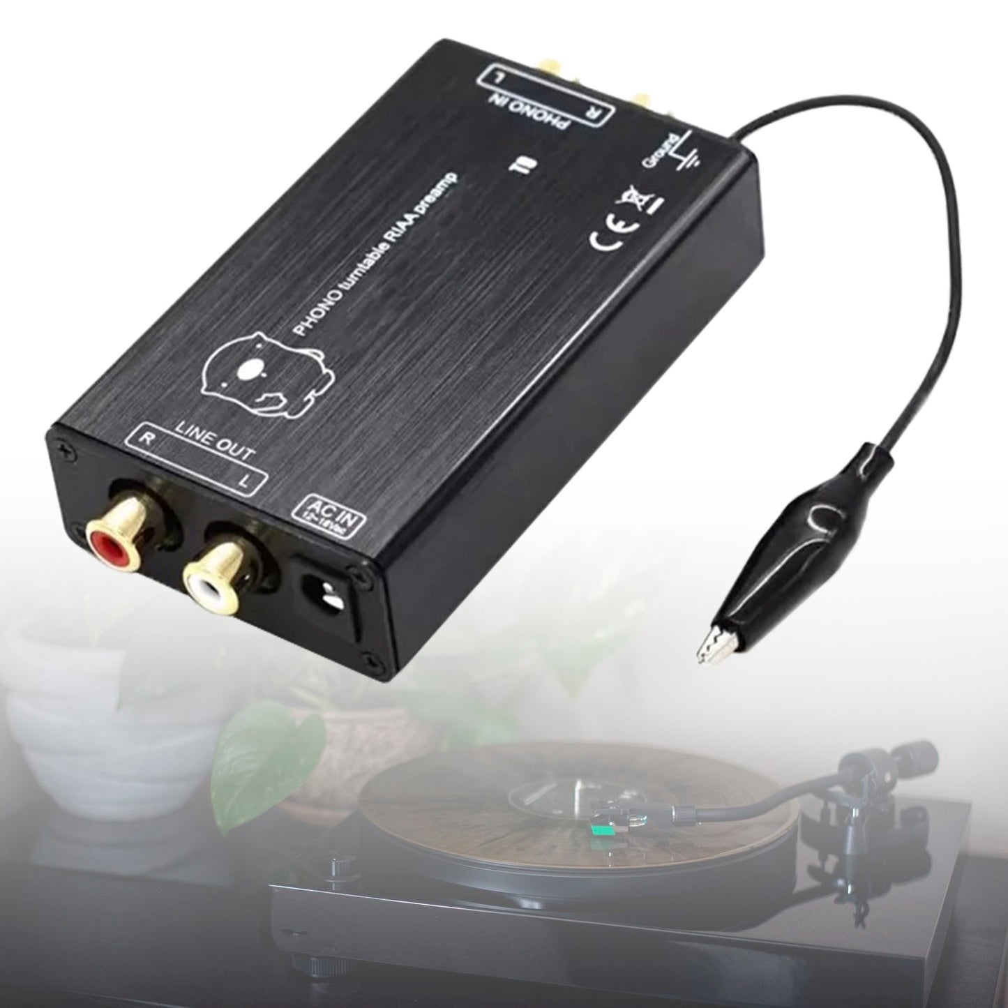 Preamplificatore Phono T11 Preamplificatore Phono MM Preamplificatore Giradischi Preamplificatore Fonografo Stereo