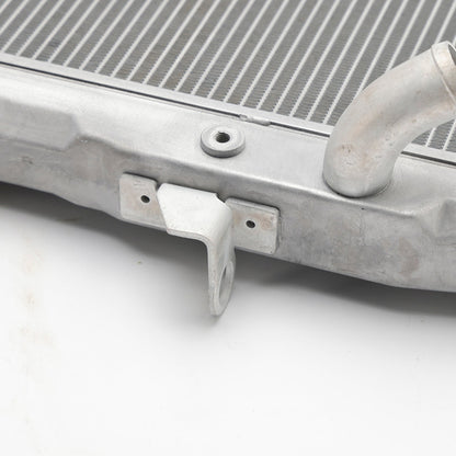 Radiatore di raffreddamento del motore Yamaha Tenere 700 XTZ700 2019-2024