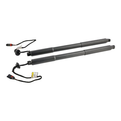 10.2013-12.2015 XC60 I SUV (156) D4 2 PZ Supporto per sollevamento portelloni elettrici 31386705 31386706