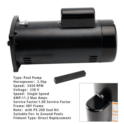 Motore per piscina USQ1252 2,5 CV 230 V flangia quadrata 48Y con kit di guarnizioni PS-200