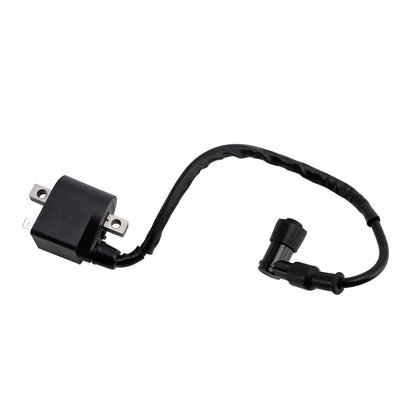 Scatola CDI Accensione adatta per Suzuki TS50 TS50X 1991/1993-1995 LT50 1990/1999-2005