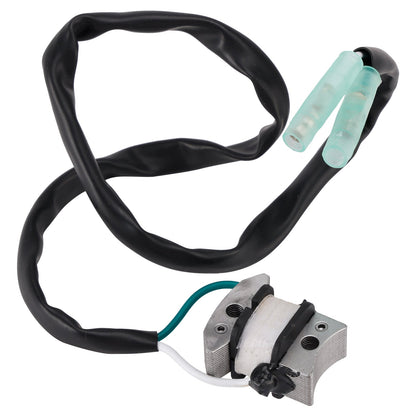 GRUPPO GENERATORE DI IMPULSI PER CARRELLO DA GOLF A BENZINA YAMAHA G1A G3A J10-85580-20-00