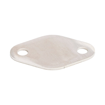 Piastra di blocco valvola EGR per VW Seat Skoda 1.2L 1.6L TDi per Audi Common Rail S/S