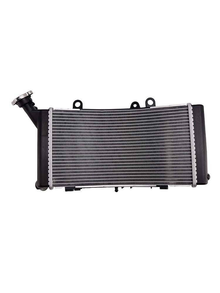 2019-2024 per BMW F750GS Raffreddamento del radiatore