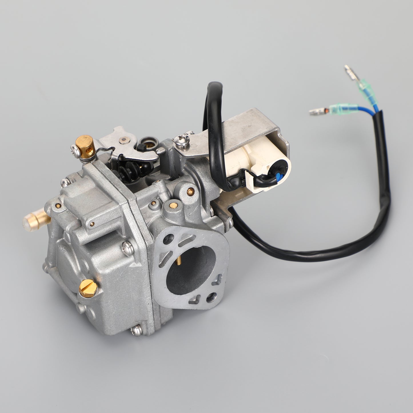 Carburatore per Yamaha Outboard 4-stroke F20 07-18 6AH-14301-00 6AH-14301-01