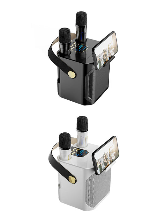Altoparlante Bluetooth wireless con doppio microfono, altoparlante portatile per karaoke domestico