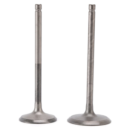Valvola di aspirazione e scarico per Yamaha 200 225 250 CV 11-19 6P2-12111-10 6P2-12121-10