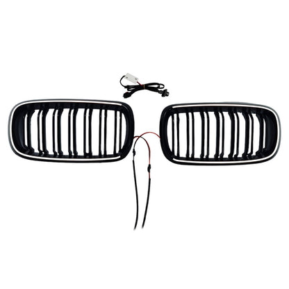 Griglia anteriore a doppio rene con lamelle per BMW X6 F16 35i/35i xDrive/50i xDrive (2014-2018)
