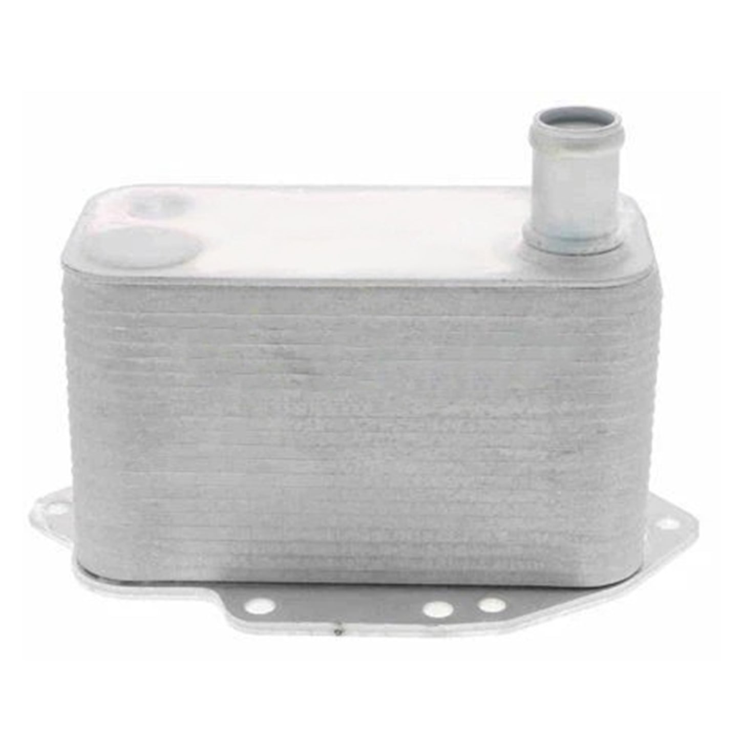 Radiatore olio motore 11427788462 per BMW Serie 3 5 6 7 X3 X5 X6