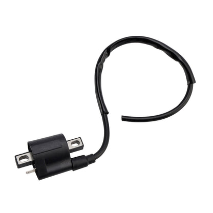 Scatola CDI con accensione adatta per Suzuki LT-F160 QuadRunner 1990-2007 DRZ400 2000-2004