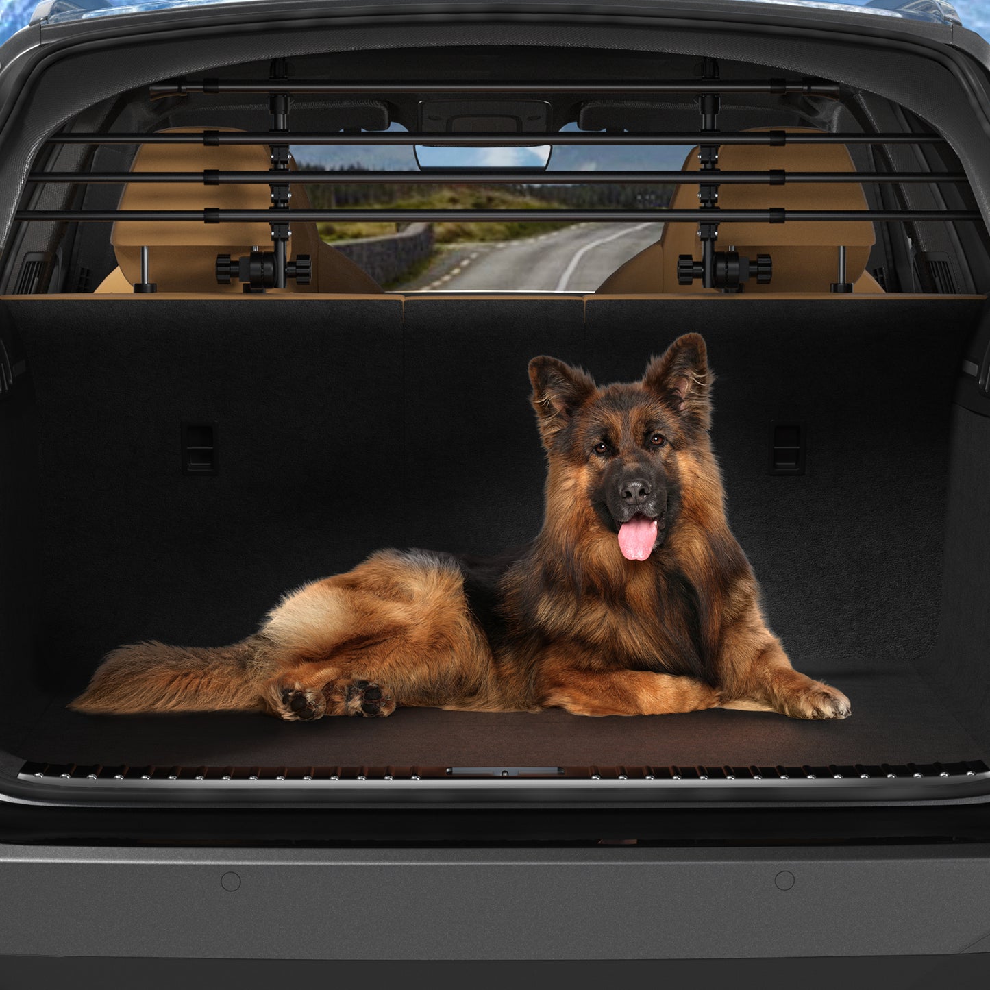 Griglia protettiva per cani vano bagagli per auto SUV station wagon universale
