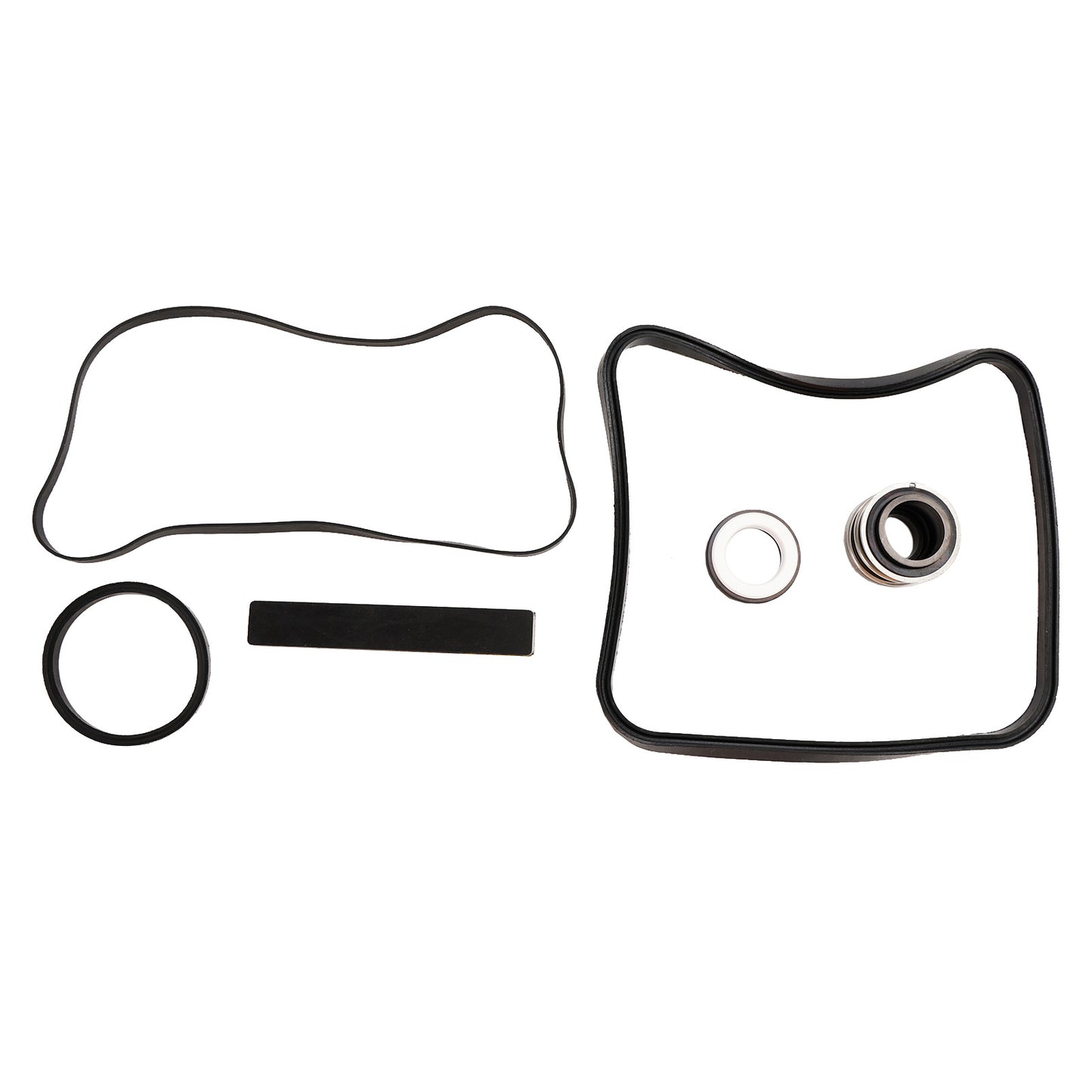 Kit di sostituzione del motore e della guarnizione della pompa della piscina UST1102 per la super pompa Hayward Max Flow
