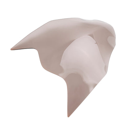 Suzuki Gsx-R 600 Gsx R 600 2014-2020 Protezione Vetro Faro Anteriore