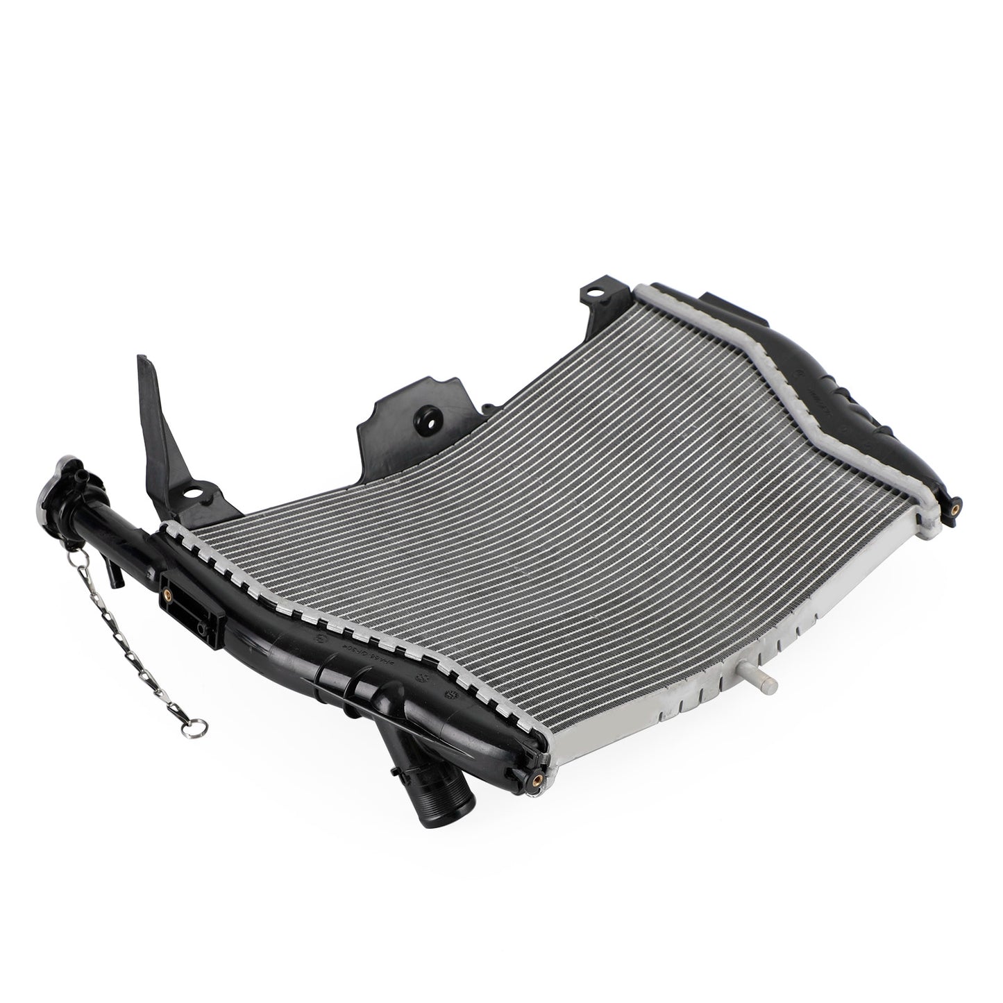 Raffreddamento del radiatore del radiatore del motore BMW S1000RR 2009-2018