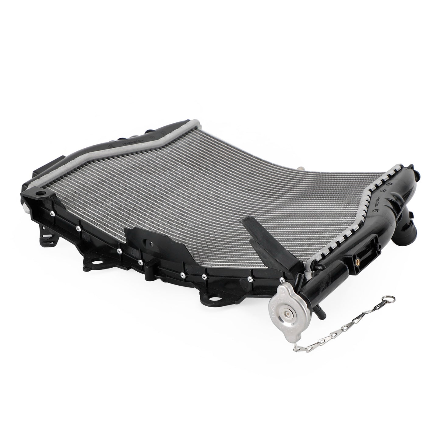 Raffreddamento del radiatore del radiatore del motore BMW S1000RR 2009-2018