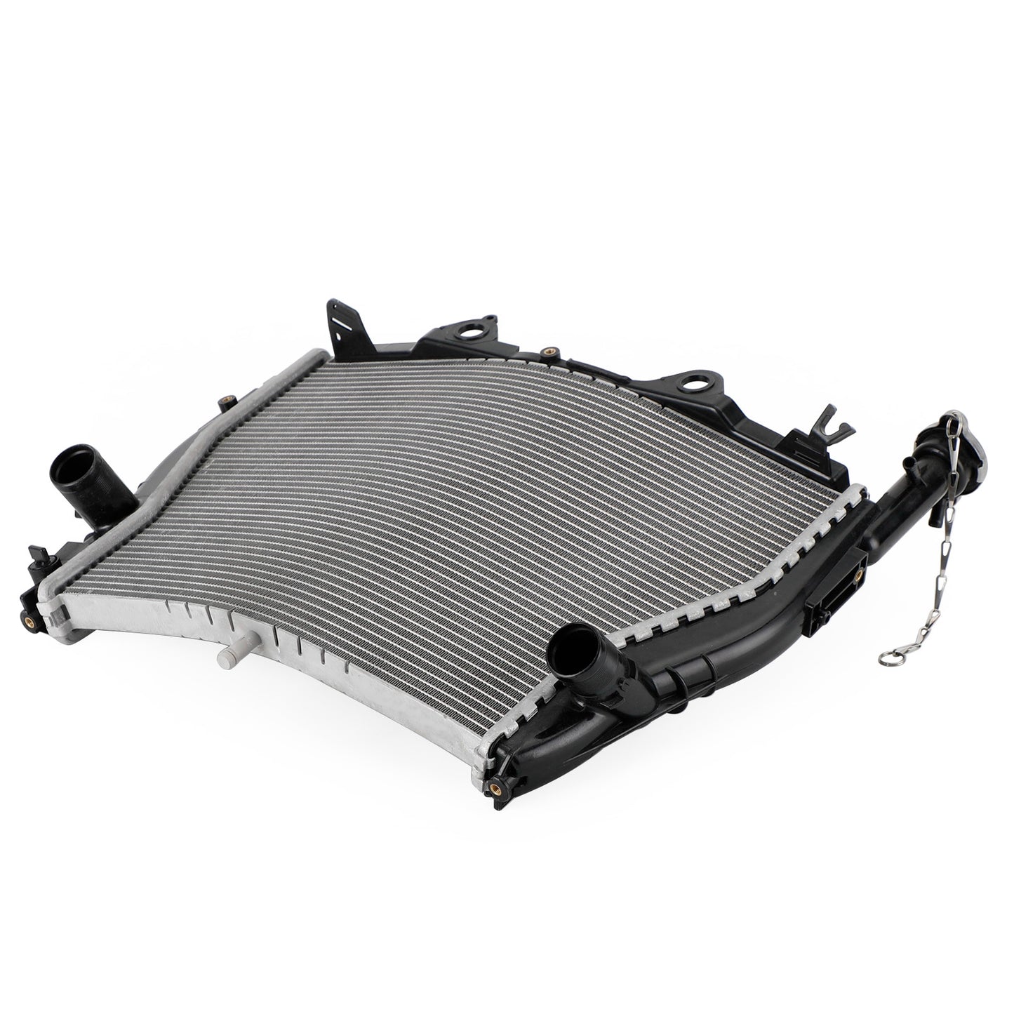 Raffreddamento del radiatore del radiatore del motore BMW S1000RR 2009-2018